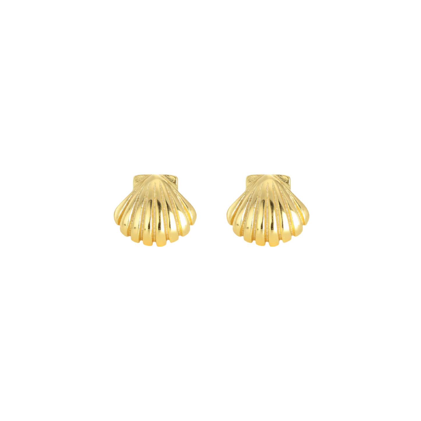 Clam Shell Studs