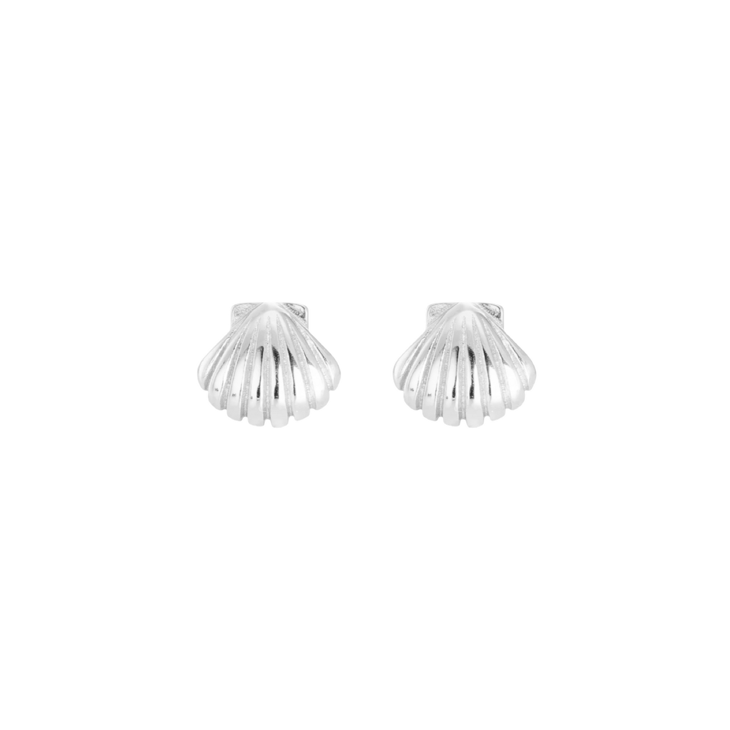 Clam Shell Studs