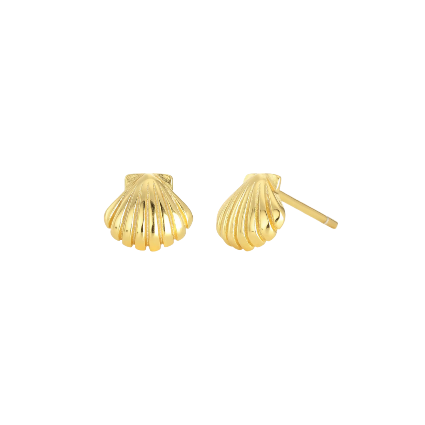 Clam Shell Studs