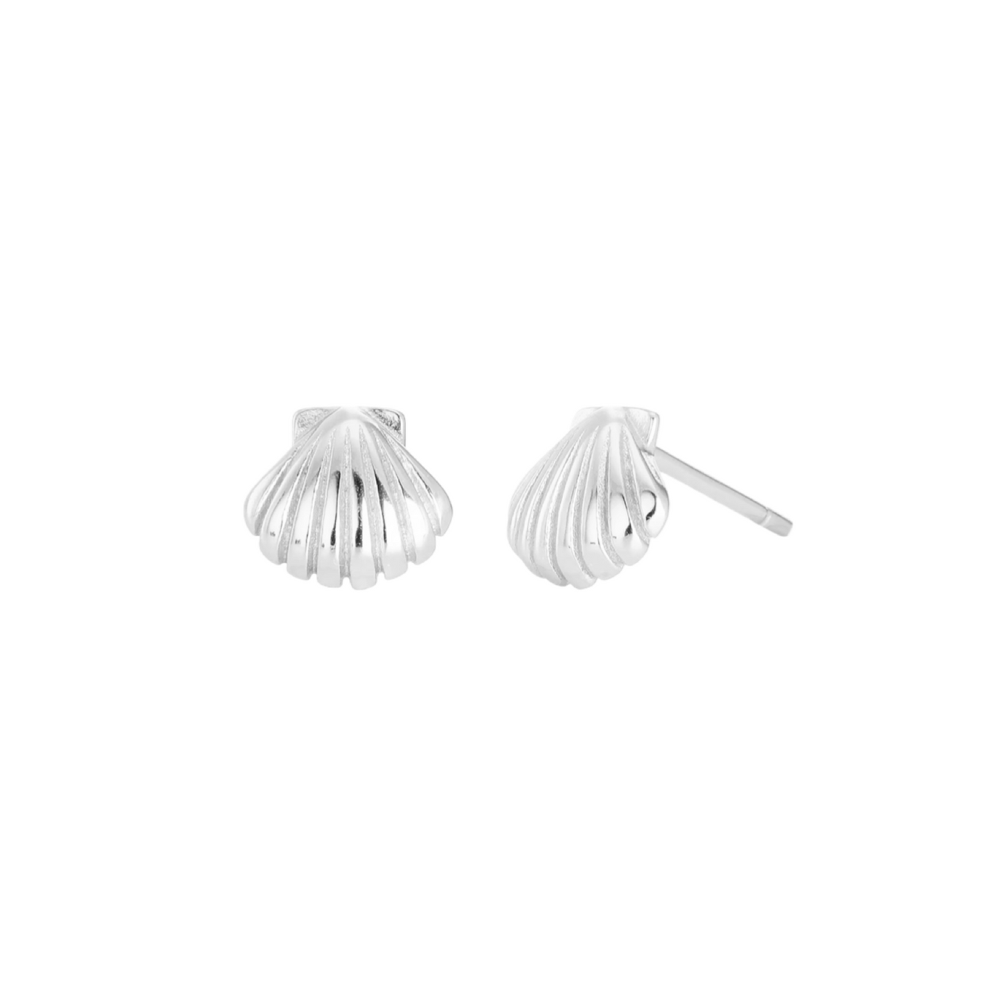 Clam Shell Studs