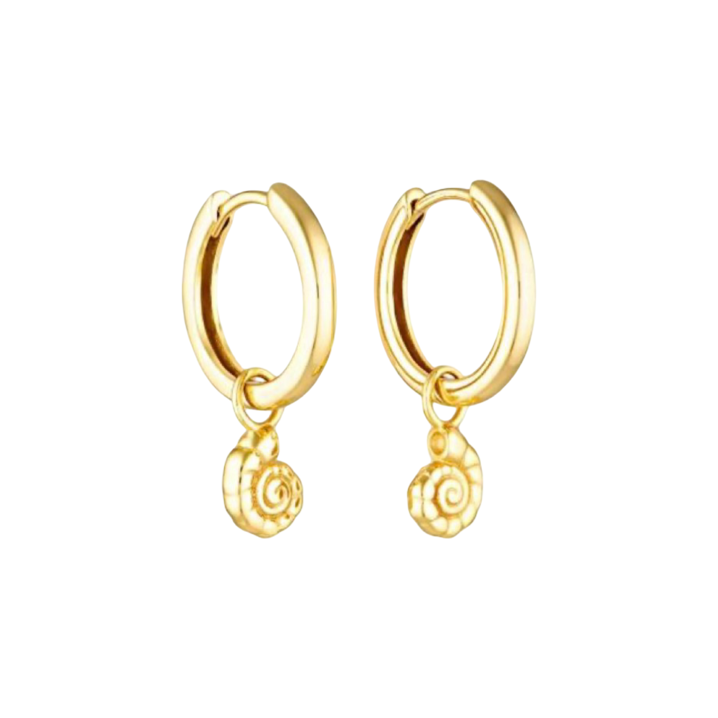 Seashell Pendant Hoop Earrings