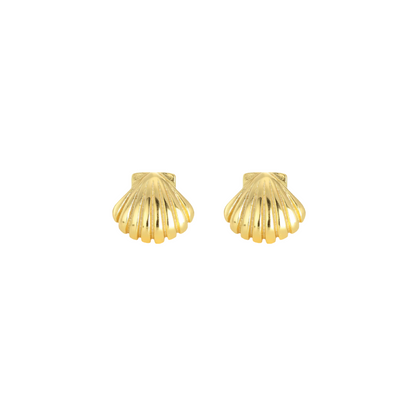Clam Shell Studs