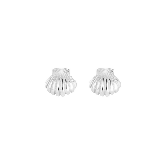 Clam Shell Studs