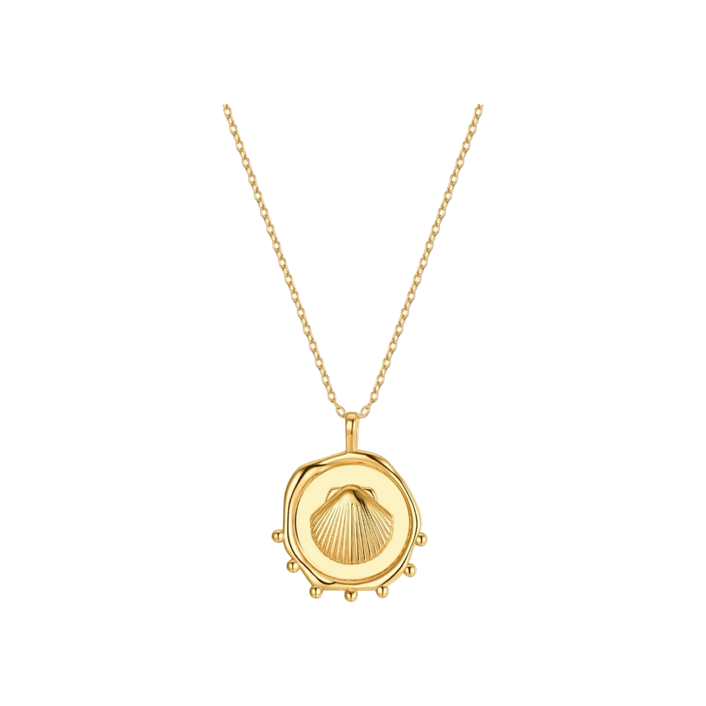Scallop Shell Medal Necklace