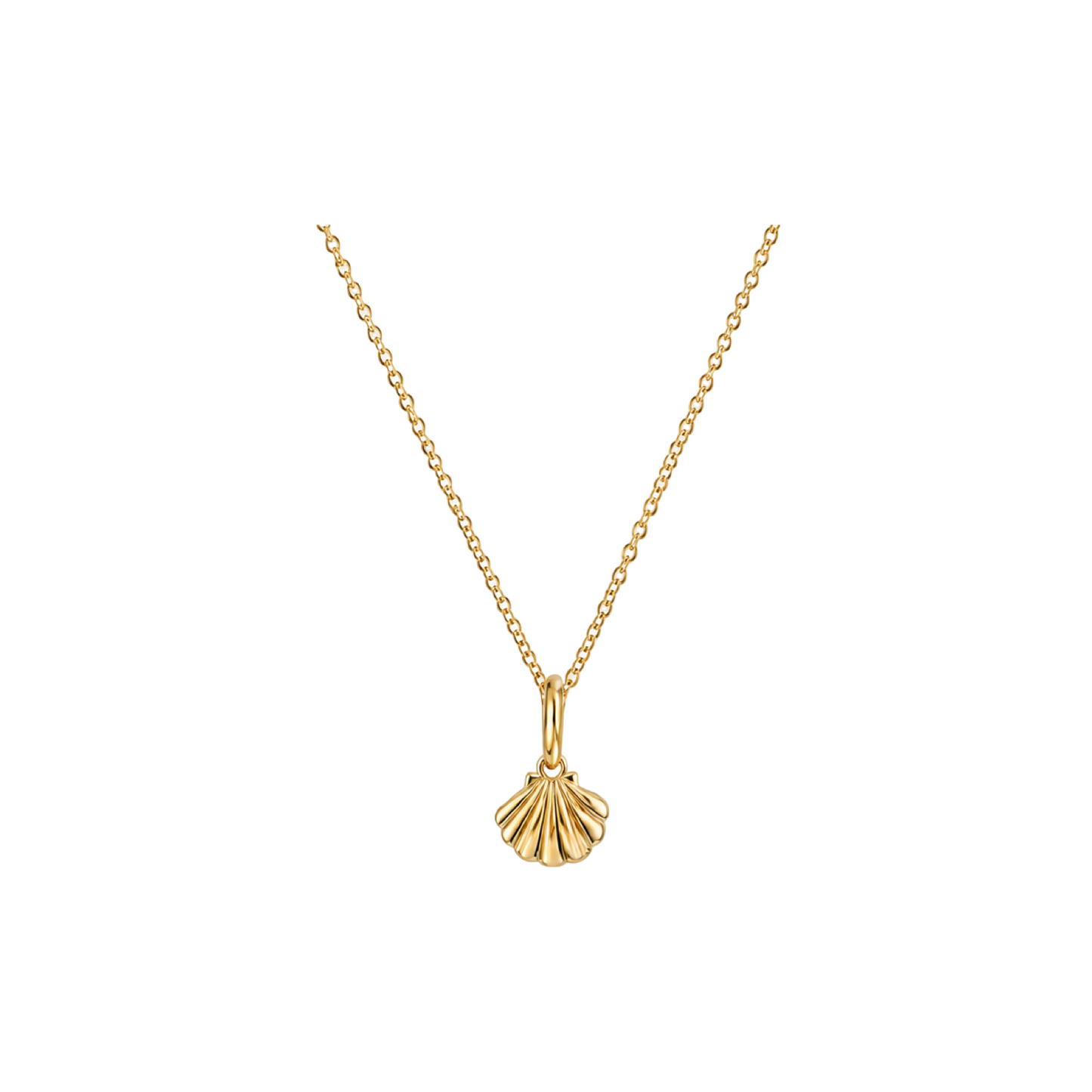 Scallop Shell Pendant Necklace