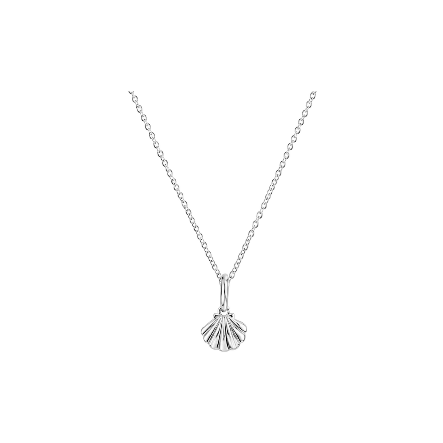 Scallop Shell Pendant Necklace